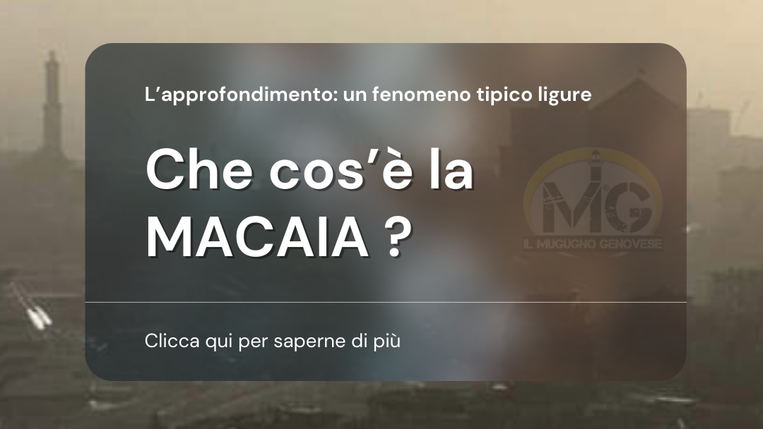 MACAIA MACCAIA MACCAJA