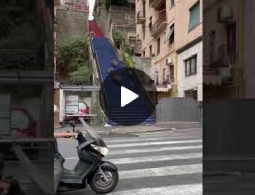 Cinghiali sulla scalinata in Via Nizza e il signore deve scappare [VIDEO]
