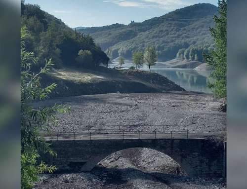 Il ponte riemerso del Lago del Brugneto