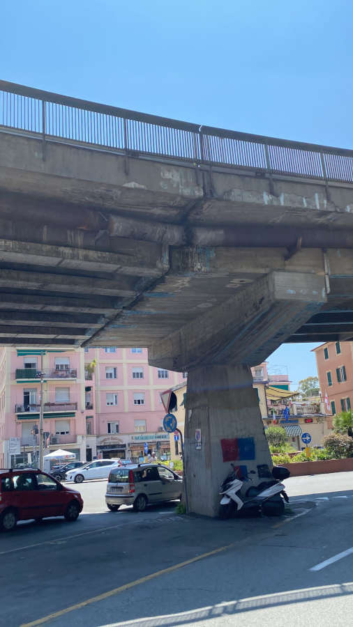ponte di nervi