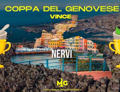 🏆 🏴󠁧󠁢󠁥󠁮󠁧󠁿 VINCE NERVI! 🏴󠁧󠁢󠁥󠁮󠁧󠁿 🏆